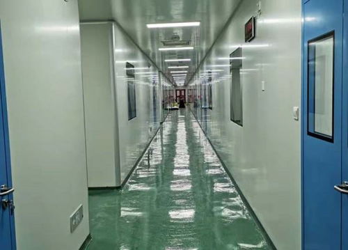 臺(tái)州化妝品廠凈化車(chē)間建造指南 空氣過(guò)濾器選型與金華博揚(yáng)凈化工程的實(shí)踐